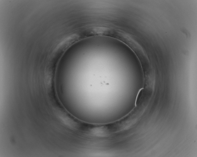 X0000114420505200910161231