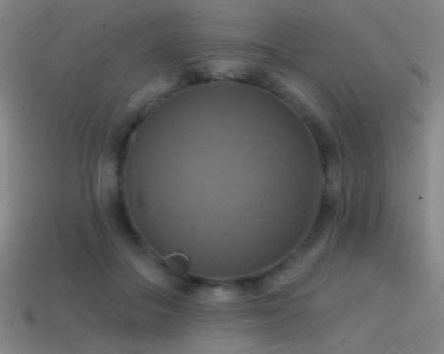 X0000114420506200910161231