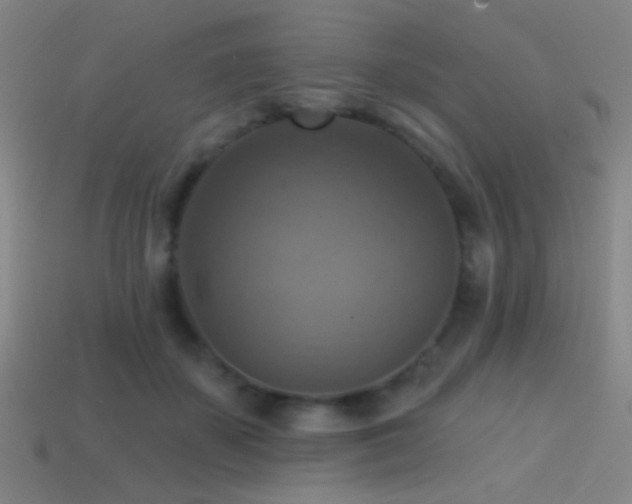 X0000114420507200910161231