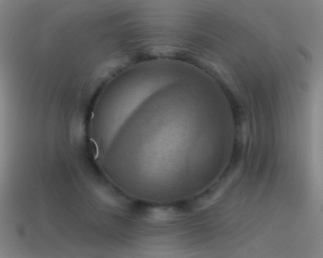 X0000114420508200910161231