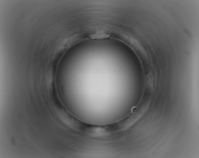 X0000114420509200910161231