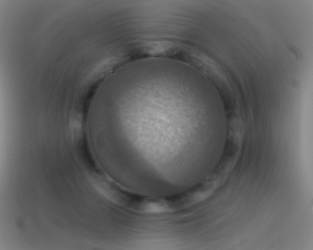 X0000114420510200910161231