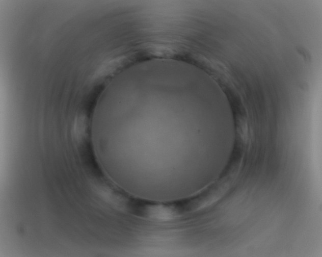 X0000114420511200910161231