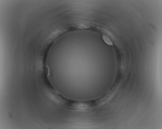 X0000114420512200910161231