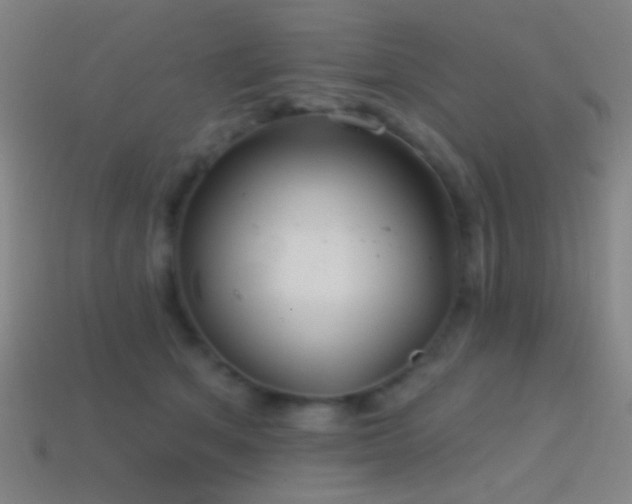 X0000114420513200910161231