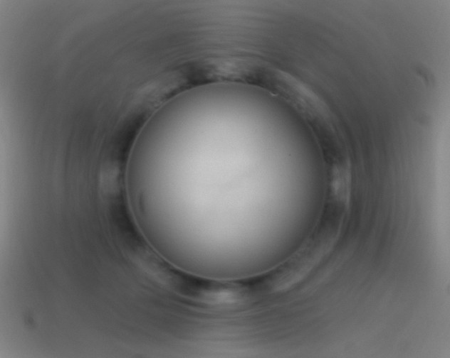 X0000114420514200910161231