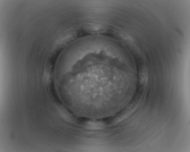 X0000114420515200910161231