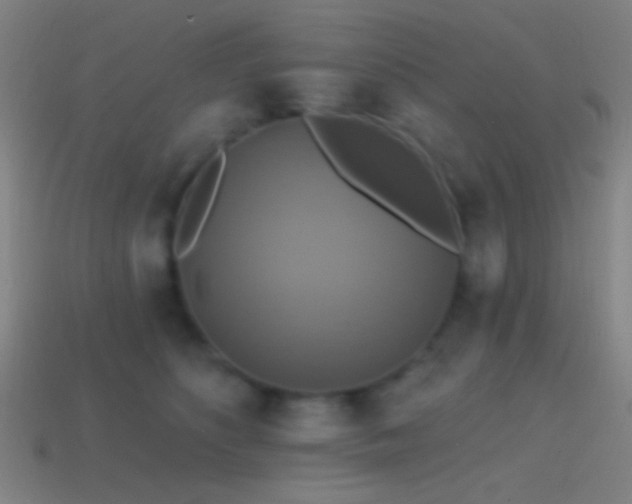X0000114420516200910161231