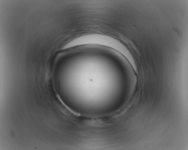 X0000114420517200910161231