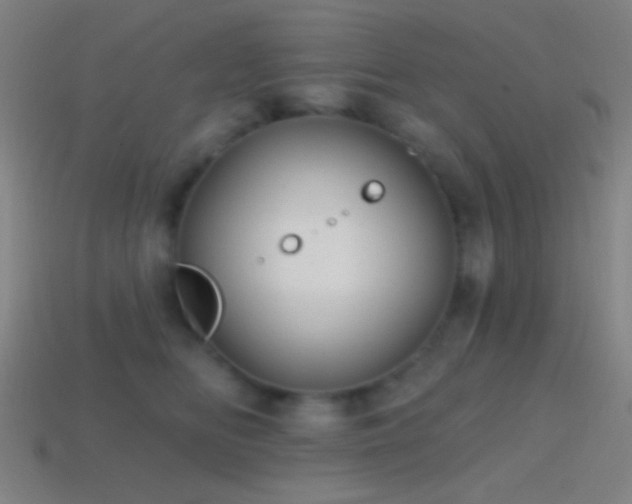 X0000114420518200910161231