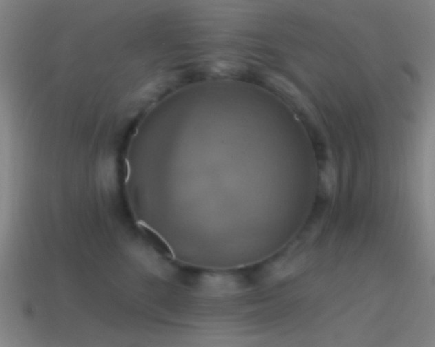 X0000114420520200910161231