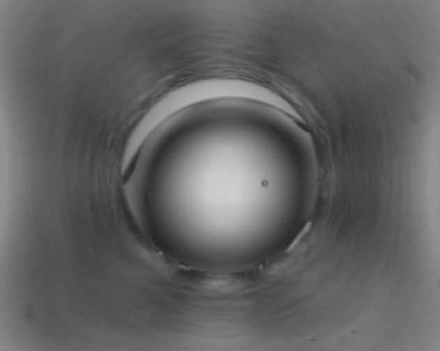 X0000114420521200910161231