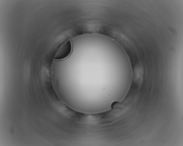 X0000114420522200910161231