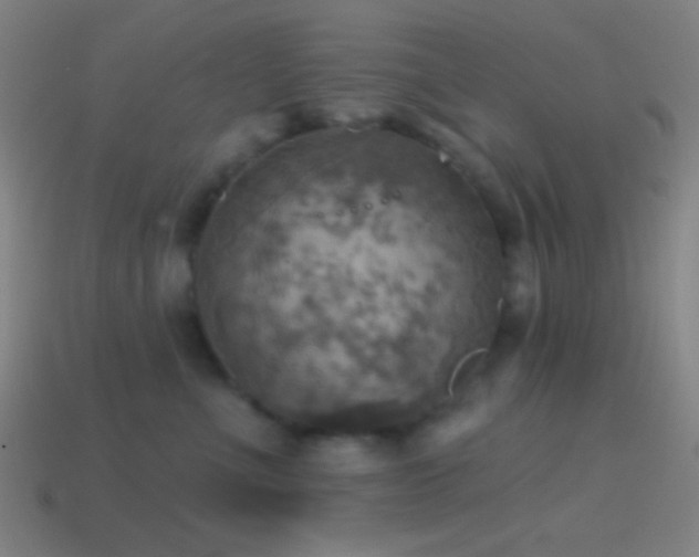 X0000114420523200910161231