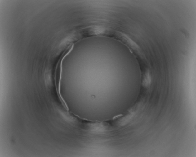 X0000114420524200910161231