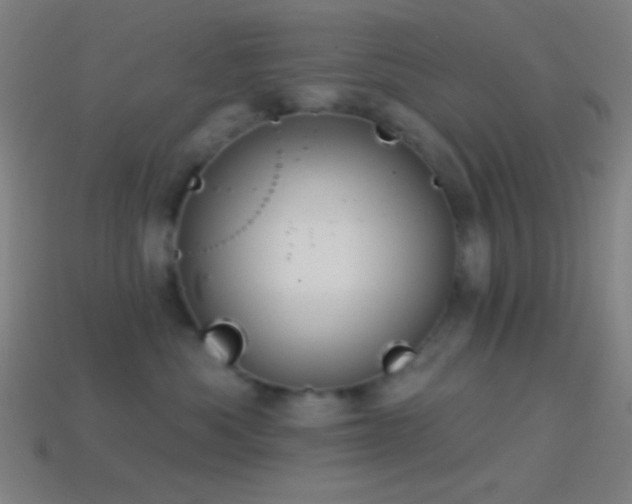 X0000114420525200910161231