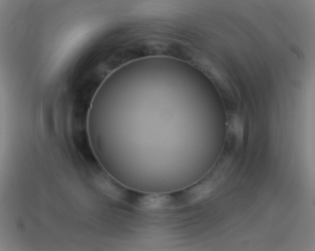 X0000114420526200910161231