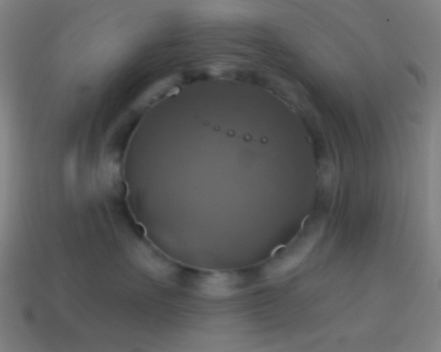 X0000114420527200910161231