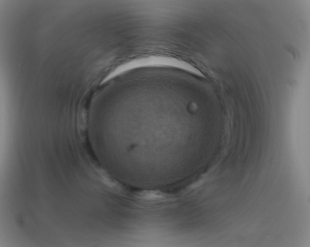 X0000114420528200910161231