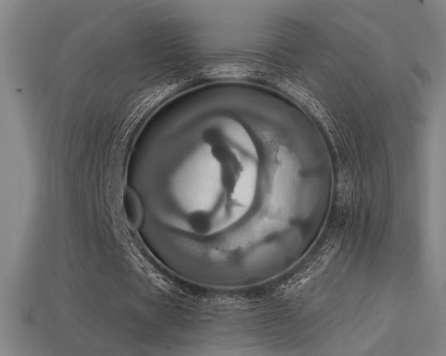 X0000114420529200910161230
