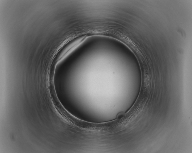 X0000114420530200910161230