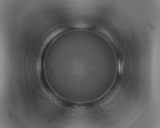 X0000114420531200910161230