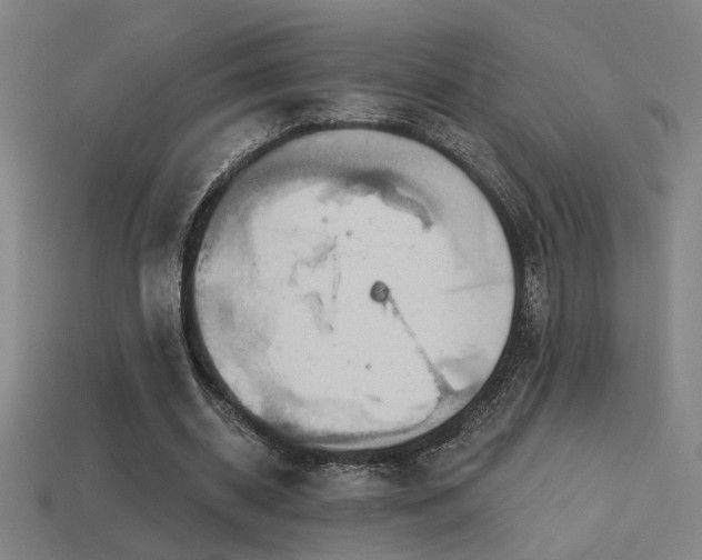 X0000114420534200910161230