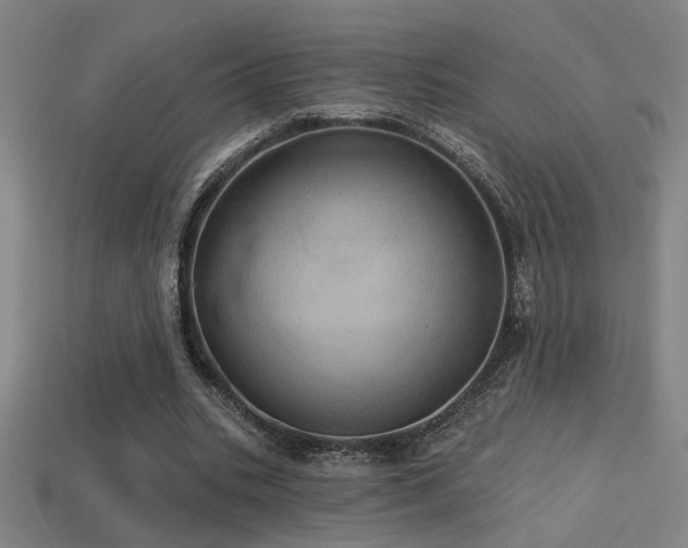 X0000114420535200910161230