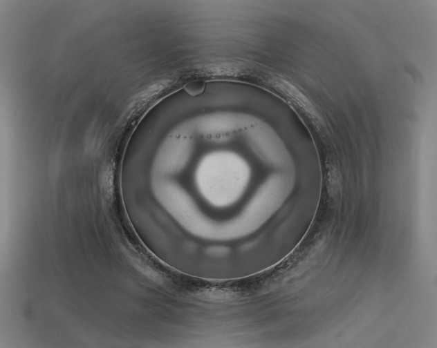 X0000114420537200910161230