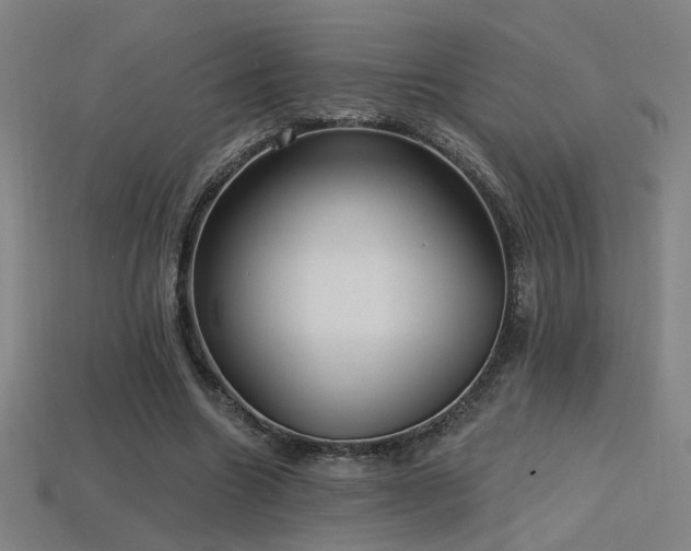 X0000114420538200910161230