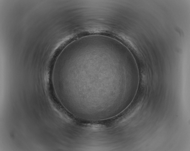 X0000114420539200910161230