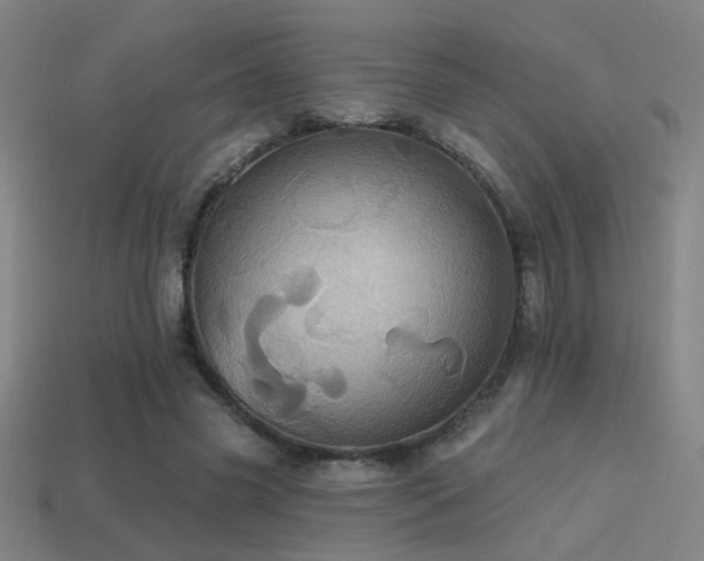 X0000114420541200910161230