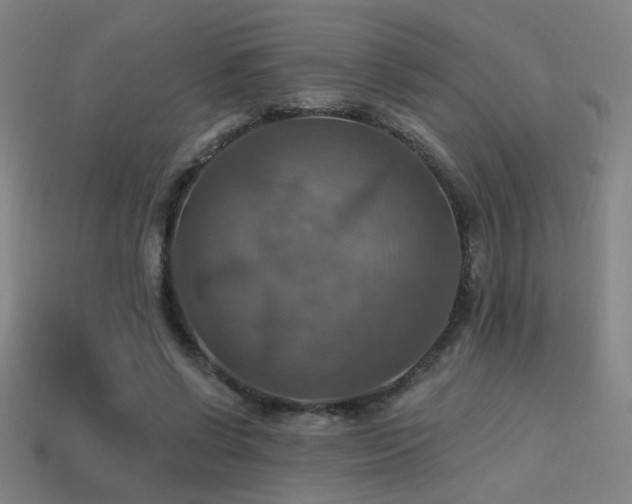 X0000114420542200910161230