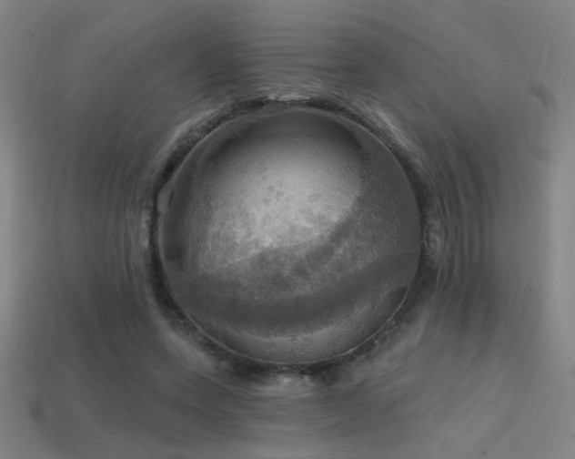 X0000114420543200910161230