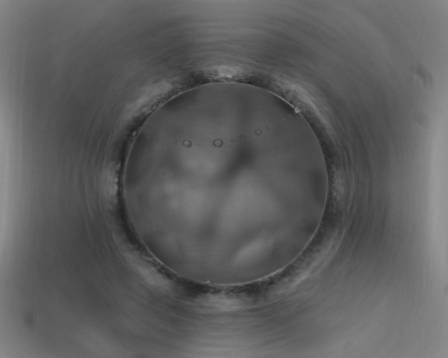 X0000114420545200910161230