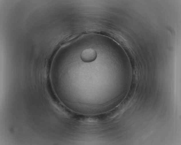 X0000114420546200910161230
