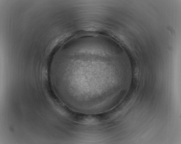 X0000114420547200910161230
