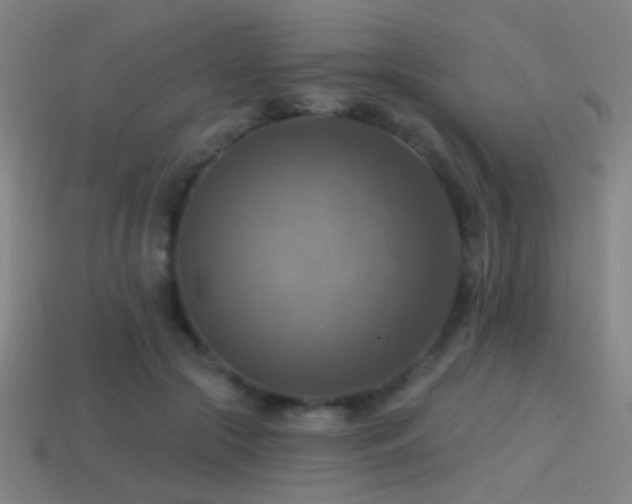 X0000114420553200910161230