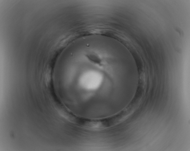X0000114420554200910161230