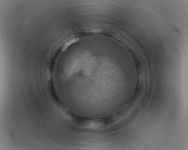 X0000114420555200910161230