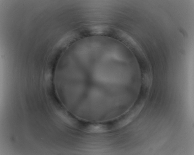 X0000114420557200910161231