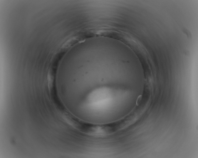 X0000114420558200910161231
