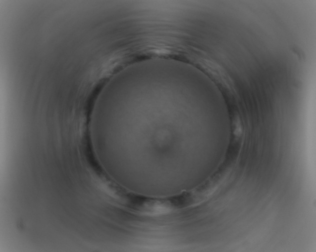 X0000114420559200910161231