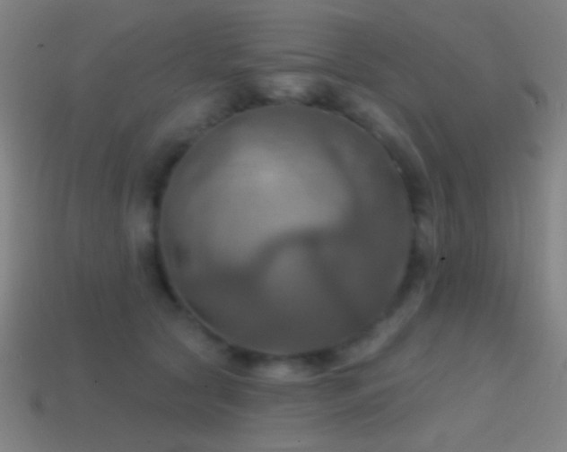 X0000114420561200910161231