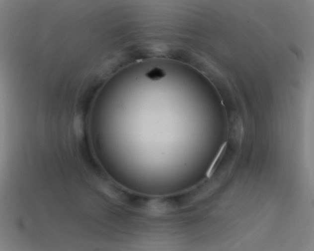 X0000114420562200910161231