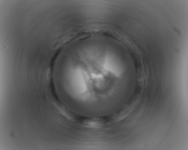 X0000114420563200910161231