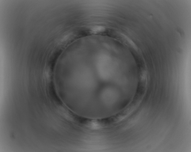 X0000114420565200910161231