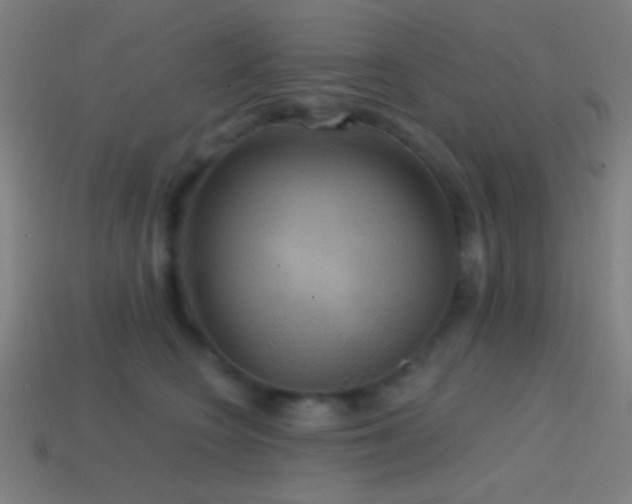 X0000114420566200910161231