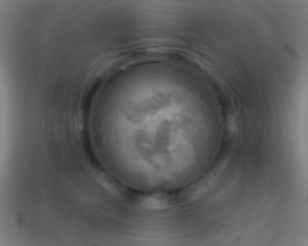 X0000114420567200910161231