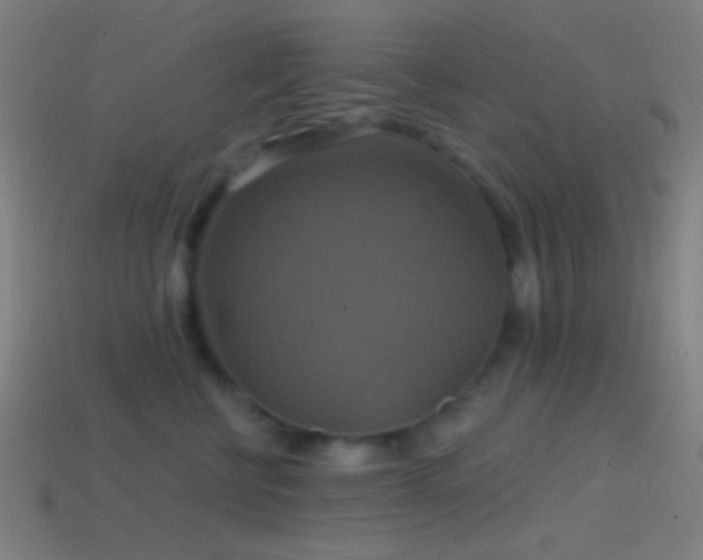 X0000114420570200910161231